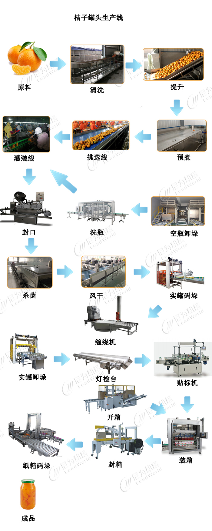 桔子（橘子）罐頭生產(chǎn)線